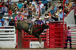 3HRodeo7-24-25_CFD_08525_