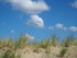 P90902000367