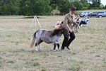 WJ6_6971