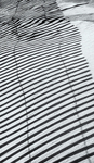 SAND FENCE SHADOW, 2015 - LONG POINT BEACH