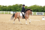 SBM_006446