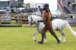 SBM_08264