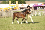 SBM_10358