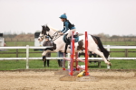 SBM_002249