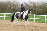 SBM_006809