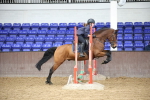 SBM_000507