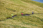 Matterdale-414