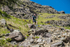 Coniston Senior-366