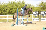 SBM_002617