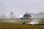 Mai Chau Valley - Local Co-Operative_RLP0834