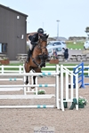Cls 11+12 National 1.30m and 1.40m portfolio