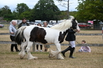 WJ6_8355