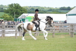 SBM_17223