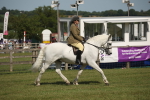 SBM_09564