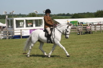 SBM_09193