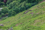 Coniston Seniors-6
