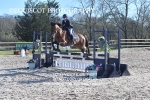 CLASS 9 SAT Pony Discovery / 90cm Open portfolio