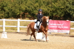 SBM_017577