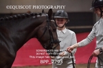 BPP_2793