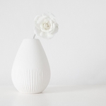 The Rose