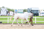 SBM_04470