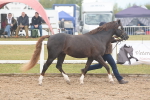SBM_08413