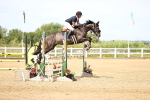 SBM_004306