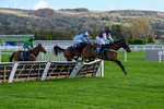 241025-Race 1-Whatsupwithyou-2081
