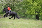 WJ6_1661