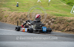 Hillclimb_02-08-2014_Kart-6