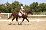 SBM_012046