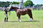 SBM_03873