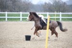 SBM_003905