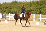 SBM_018334