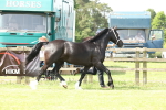 SBM_02377