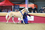 SBM_13624