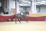 SBM_07231