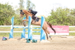 SBM_004306