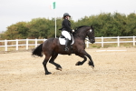 SBM_001914