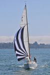 190825 PICKLE GBR670 1Y3A2090