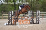 BPP_5263