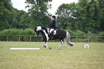 WJ6_6638