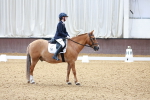 SBM_007217