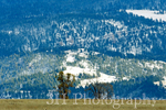 _DSC3783