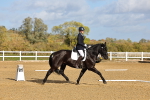 SBM_002195