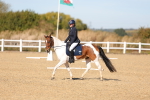 SBM_001536
