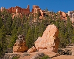 Bryce Queens Garden Trail 2  11 x 14