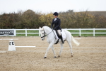 SBM_004568