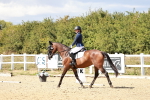SBM_012010