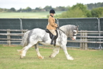SBM_15884